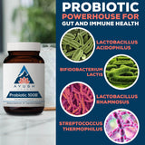 Ayush Herbs Probiotic 100B – 60 Veg Capsules | High-Potency Gut & Immune Support