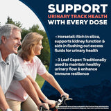 Ayush Herbs Rentone – 90 Capsules | Traditional Botanical Blend