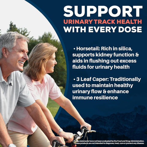 Ayush Herbs Rentone – 90 Capsules | Traditional Botanical Blend