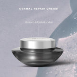 SkinMedica Dermal Repair Cream