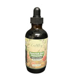 Earthley Wellness Nourish Her Naturally Liquid Botanical Multivitamin for Women with Raspberry Dandelion Leaf Alfalfa and Nettles 4oz