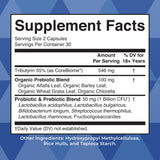 MaryRuth Organics 3-in-1 Probiotics for Complete Gut Health – 60 Count | Supports Digestion, Immunity & Overall Wellness