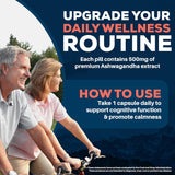 Ayush Herbs Ashwagandha – 60 Capsules | Natural Stress Relief & Energy Boost
